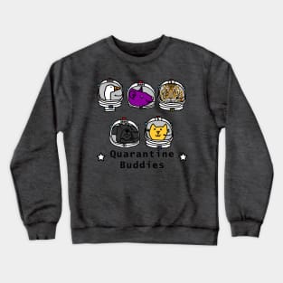 Space Crew 2420 Science Quarantine Buddies Crewneck Sweatshirt